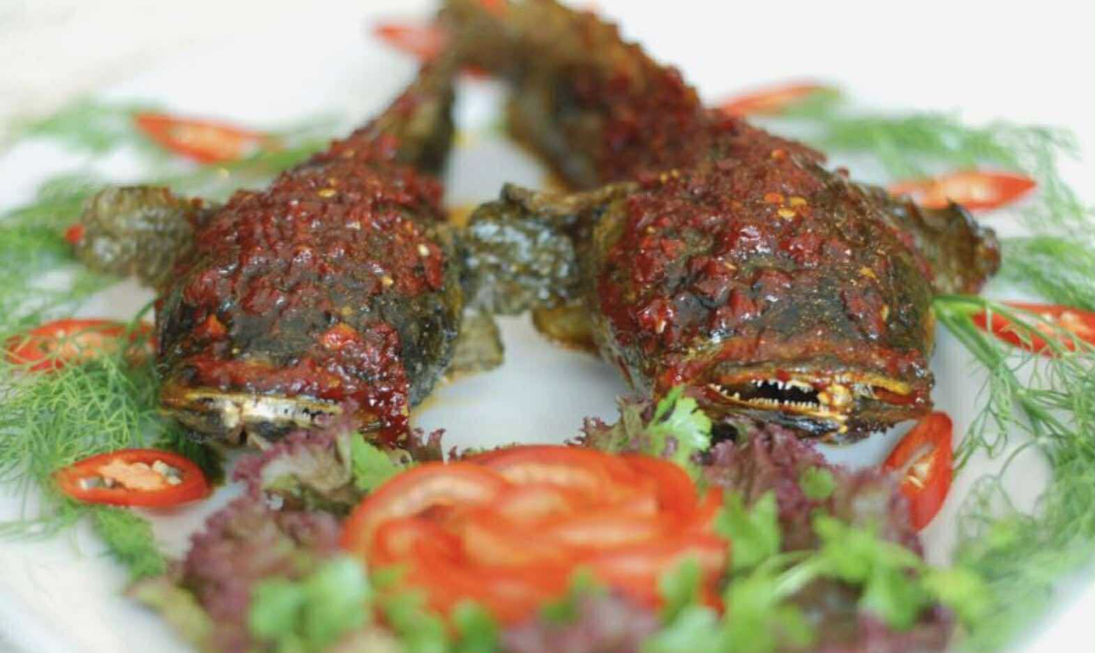 Cá có ngoại hình xấu xí, từng là đặc sản không ai dám thử nay lên giá 400 nghìn đồng/kg vẫn nhiều người săn lùng - 5